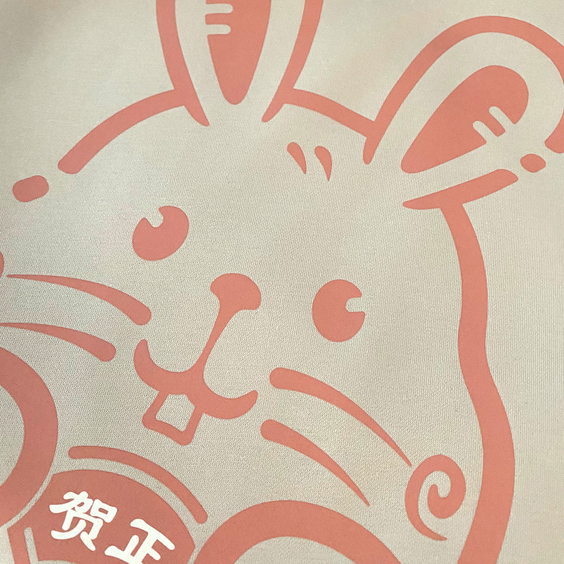 The Year of Rabbit- a close-up of a cute rabbit design printed on the front of a khaki sweatshirt-2